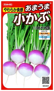 TJ^̃^l 炩H ܂܏ ߐ V[Y925403