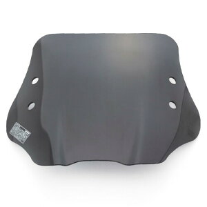 fCgi(Daytona) oCNp XN[ Nvo[t PCX125(18-21) PCX150(18-20) PCX160(21)p EChV[h SSV[Y V[g X[N 97697