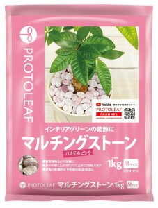 vg[t }`OXg[(pXesN)M 1kg