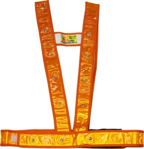 ~YPC ~c LED^XL^Sxg ułv IW/LED 3020013