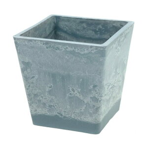 b`F(Richell) {^j[ XNGA|bg 12^ u[ 1 171634 | K[f K[fjO Aؔ p v^[ lp   {^jJ p^ vX`bN TCY/12×12×12H