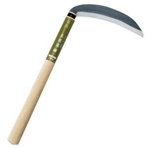 L{V(Kinboshi)  e{ p 160503