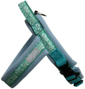 Hakusan(nNT) WXgtBbghSn[lXEAnbV (I[Vu[An, TCY4)