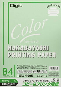 iJoV Rs[p J[^Cv 100 B4 O[ HCP-4111-G