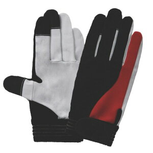 xmO[u TG-305 L c[gObv 3646 {v(}WbN^Cv)