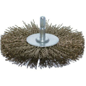 TRUSCO(gXR) tzC[uV 100x6.35 ^JbL|a0.2 TB625160