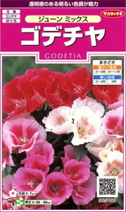 �T�J�^�̃^�l �����5190 �S�f�`�� �W���[���~�b�N�X 00905190