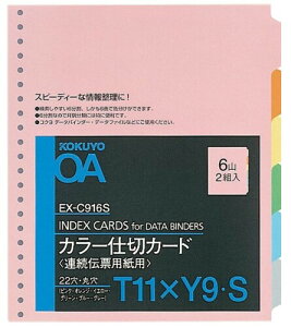 RN A`[ppd؃J[h J[T^ 11x9 6R 2g EX-C916S