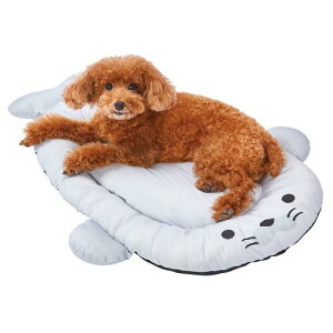 yeBI (Petio) Lpxbh ЂT}[xbh AUV