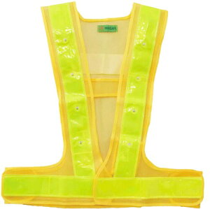 xm܍H SxXg × t[TCY LED dxXg 2060