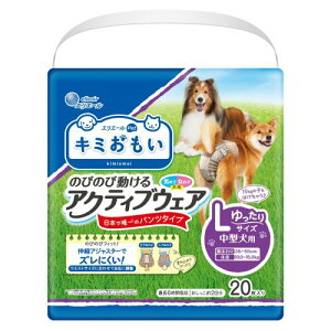 GG[ Pet L~ ̂т̂ѓANeBuEFA L  20 p ނ