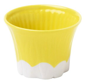 }R[ xmR傱  4.5xH5.6cm 787203