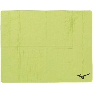 MIZUNO(~Ym) XC j j tBbglX z  { ΍ XC^I Z[^I TCY N2JYB010 31FCgO[ TCY:44×68cm