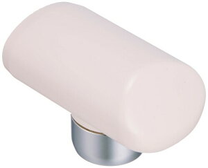 SANEI(TGC) Ci fMLbv SANEIp PM51