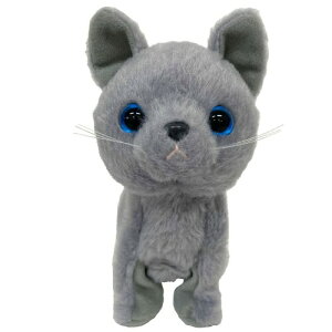 drœʂ   EH[LOXC[gps[ L VAu[ Russian Blue 49082