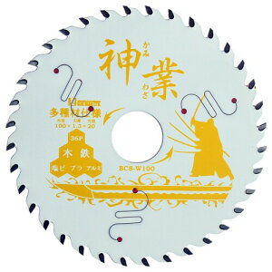 rbO}(Bigman) _ƃ`bv\[ 100mm ޗp(nAnށAʓSށA؎nށAXeSAqƌn) BCS-W100