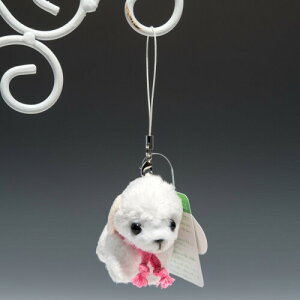 ̂(Takenoco) tHe[kXgbv gCv[h zCg ʂ 38027