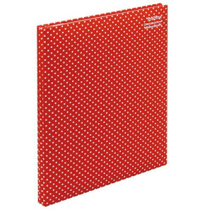 iJoV t@C fW^t[Ao Praffine A4 bh A-A4P-164-R