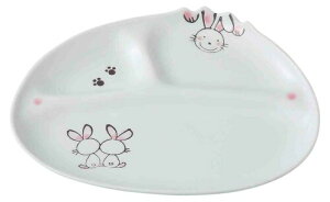 C g dؕt ~jv[g  22.5cm 60238