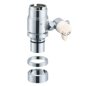 SANEI(TGC) VOpA_v^[ INAXp  ] B98-2B