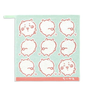 (Chiikawa) CG[ EHbV^I O[  [vt K[[pC 41-1231090 34×35cm