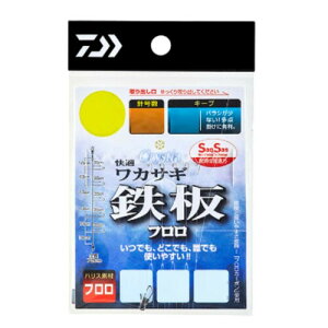 _C(DAIWA) NXeBA KJTMd|SS St L[v 6{ 0.5