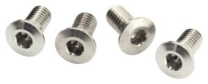 �N���G�[�V�������f��(Creation Model) INFINITY M3x6mm�`�^���X�����w�b�h�X�N�����[ (4��) B01306ST