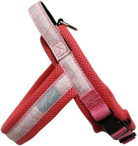 Hakusan(nNT) WXgtBbghSn[lXEAnbV (s[`An, TCY3)