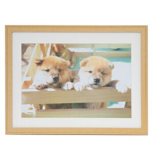 FUJICOLOR ؐz YM-9 Ch4 ؒn 407604