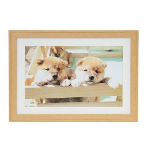 FUJICOLOR ؐz YM-9 Ch6 ؒn 407581