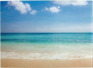 L[Xg[ uv F L KXA[gsN`[ DE043733