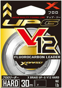 GbNXuCh(X-Braid) UP-G[_[ V12 n[h 30m 5 / 24LB