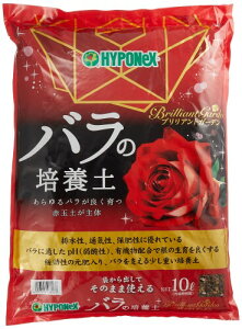 nC|lbNX BGo̔|{y 10L W