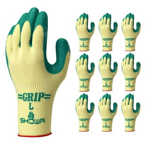 (V[O[u) 10opbN ȈՕ Obv(\tg^Cv) O[ STCY 10o