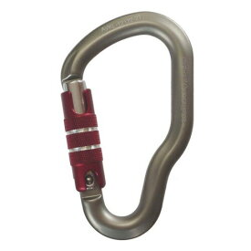 roc'Teryx(ロックテリクス) 登山 クライミング カラビナ グランデ・クイックロック グレー RT121222T