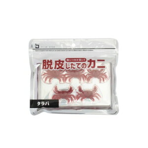 FIVE STAR E炵ẴJj I[ N_C JTS LWn^ ACi `jO Ƃ t[O (^o)