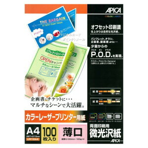 AsJ [U[v^[p ʈp  A4 100 LPF10A4