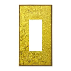 �X�K�c�l�H�� �X�C�b�`�E�R���Z���g�v���[�g �G�C�W�h�L���X�g�V���[�Y �u�����Y�����C�G���[ PXP-AC01-KY