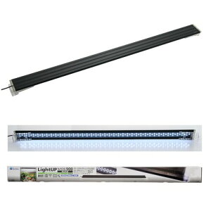  CgAbv WIDE 900 ubN 90-100cmp