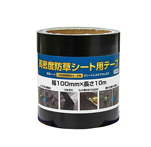 _CI hV[g{Hpe[v 100mmx10m 