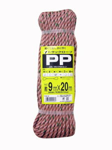 ^JCN PPgbN[v 9mm×20m TRP-2