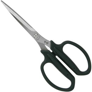 g K[fjO Lbvtn SSP-21