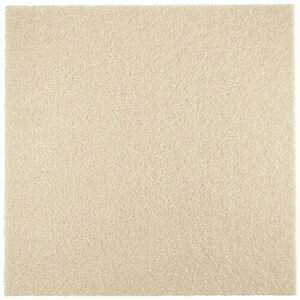  EBYybgtA N[ 40cm×40cm WPF02