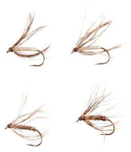 _C(DAIWA) eJѐjZbg EFbg\tgnbN1