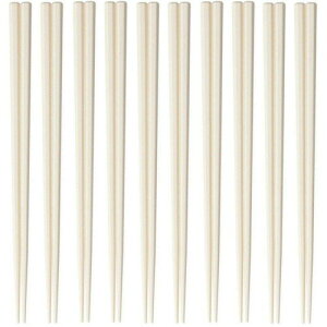 单H SPS [X 23cm Zp (x[W) 100V