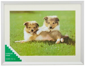 FUJICOLOR z A10N Ch4 A~ Vo[ 17616