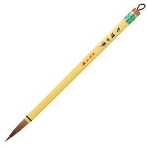  M M KM 6 Ep PM-100