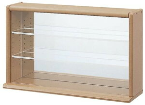 iJoV NEWRNVP[X/~jCh ANI^Cv uE CCM-N002S