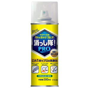 ABC GA][^Cv Ƃ  PRO KTS-300 300ml