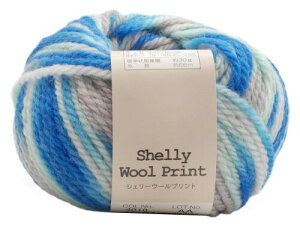 A(Motohiro) XL[ ҂ݖю VF[E[vg (5ʃZbg) Col.4010